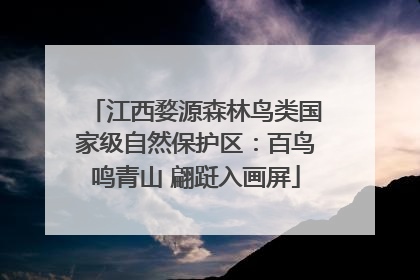 江西婺源森林鸟类国家级自然保护区：百鸟鸣青山 翩跹入画屏