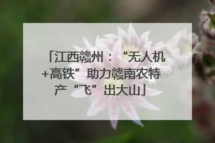 江西赣州：“无人机+高铁”助力赣南农特产“飞”出大山