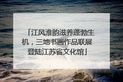 江风淮韵滋养蓬勃生机，三地书画作品联展登陆江苏省文化馆