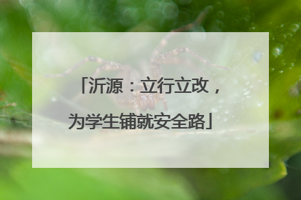 沂源：立行立改，为学生铺就安全路