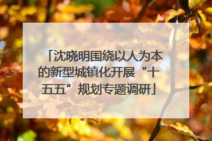 沈晓明围绕以人为本的新型城镇化开展“十五五”规划专题调研