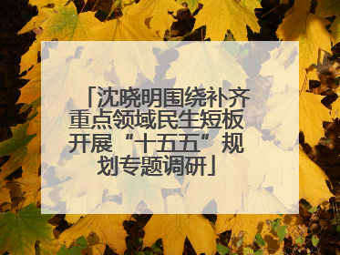 沈晓明围绕补齐重点领域民生短板开展“十五五”规划专题调研