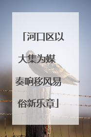 河口区以大集为媒 奏响移风易俗新乐章
