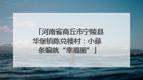 河南省商丘市宁陵县华堡镇陈兑楼村：小藤条编就“幸福图”