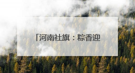 河南社旗：粽香迎端午 童趣庆六一