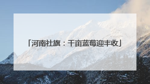 河南社旗：千亩蓝莓迎丰收