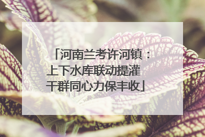 河南兰考许河镇：上下水库联动提灌 干群同心力保丰收