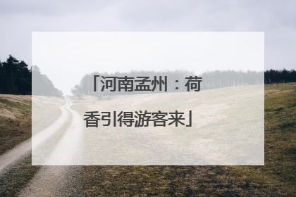 河南孟州：荷香引得游客来