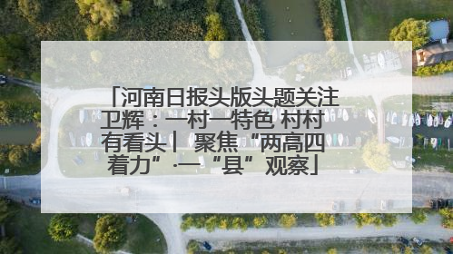 河南日报头版头题关注卫辉：一村一特色 村村有看头 ︳聚焦“两高四着力”·一“县”观察