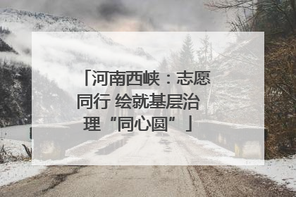 河南西峡：志愿同行 绘就基层治理“同心圆”