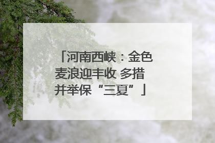 河南西峡：金色麦浪迎丰收 多措并举保“三夏”