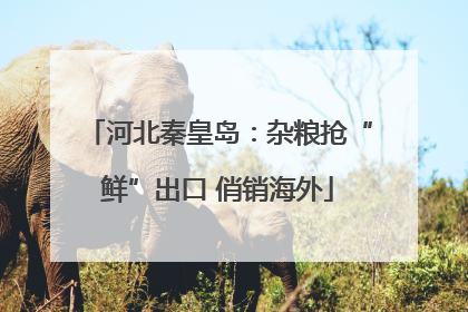 河北秦皇岛：杂粮抢“鲜”出口 俏销海外