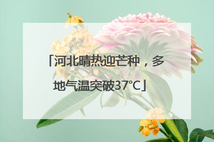 河北晴热迎芒种，多地气温突破37℃