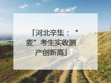 河北辛集：“麦”考生实收测产创新高