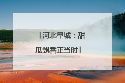 河北阜城：甜瓜飘香正当时