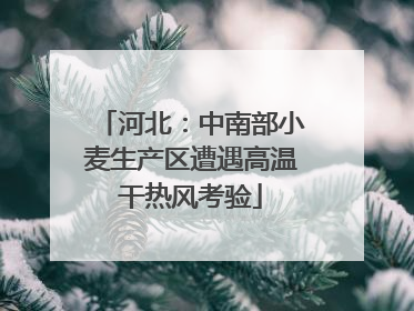 河北：中南部小麦生产区遭遇高温干热风考验