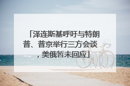 泽连斯基呼吁与特朗普、普京举行三方会谈，美俄暂未回应