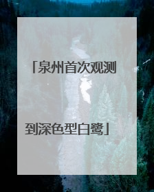 泉州首次观测到深色型白鹭