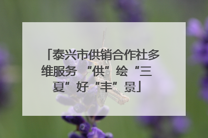 泰兴市供销合作社多维服务 “供”绘“三夏”好“丰”景