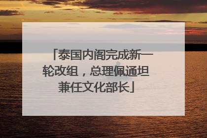 泰国内阁完成新一轮改组，总理佩通坦兼任文化部长