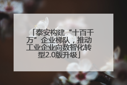 泰安构建“十百千万”企业梯队，推动工业企业向数智化转型2.0版升级
