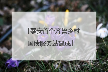 泰安首个齐鲁乡村国债服务站建成