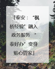 泰安：“枫桥经验”融入政务服务 “泰好办”变身贴心管家