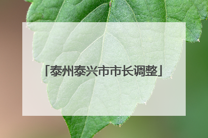泰州泰兴市市长调整