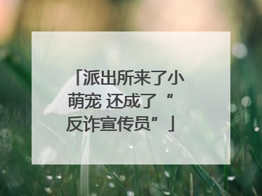 派出所来了小萌宠 还成了“反诈宣传员”