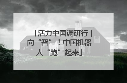活力中国调研行｜向“智”！中国机器人“跑”起来
