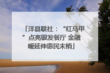 洋县联社：“红马甲”点亮银发餐厅 金融暖延伸惠民末梢