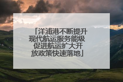 洋浦港不断提升现代航运服务能级 促进航运扩大开放政策快速落地