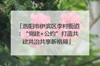 洛阳市伊滨区李村街道：“党建+公约”打造共建共治共享新格局