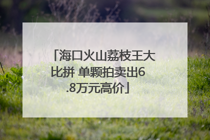 海口火山荔枝王大比拼 单颗拍卖出6.8万元高价