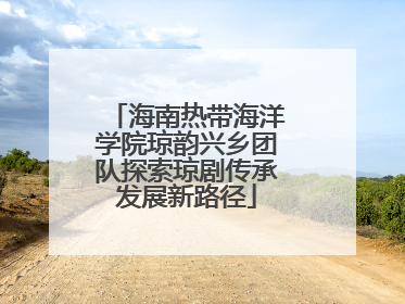 海南热带海洋学院琼韵兴乡团队探索琼剧传承发展新路径