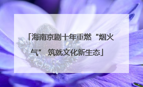 海南京剧十年重燃“烟火气” 筑就文化新生态