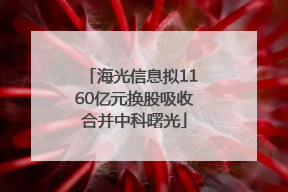 海光信息拟1160亿元换股吸收合并中科曙光