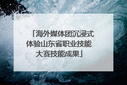 海外媒体团沉浸式体验山东省职业技能大赛技能成果