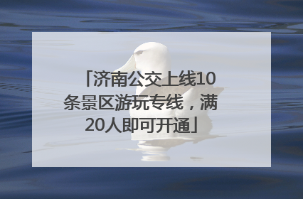 济南公交上线10条景区游玩专线，满20人即可开通