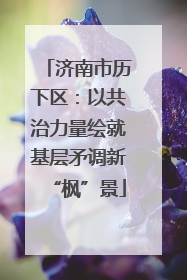 济南市历下区：以共治力量绘就基层矛调新“枫”景