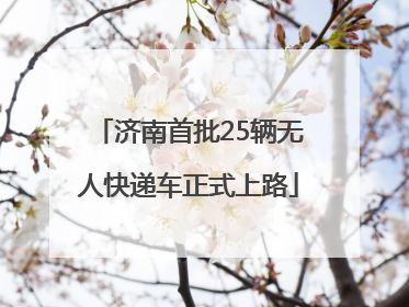 济南首批25辆无人快递车正式上路