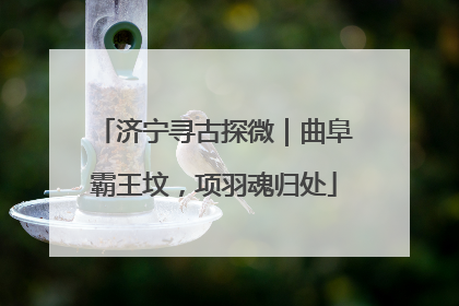 济宁寻古探微｜曲阜霸王坟，项羽魂归处