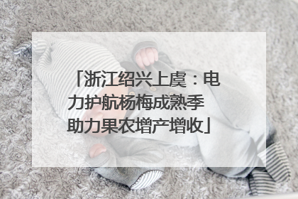 浙江绍兴上虞：电力护航杨梅成熟季 助力果农增产增收