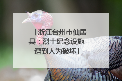 浙江台州市仙居县：烈士纪念设施遭到人为破坏