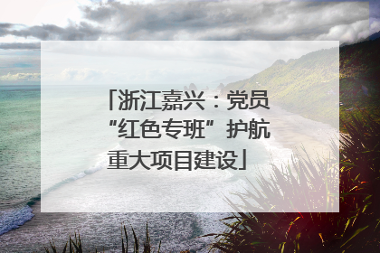 浙江嘉兴：党员“红色专班”护航重大项目建设