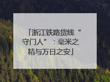 浙江铁路货线“守门人”：毫米之精与万日之安