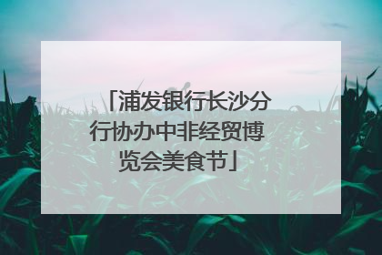 浦发银行长沙分行协办中非经贸博览会美食节