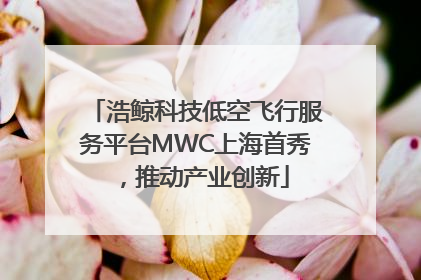 浩鲸科技低空飞行服务平台MWC上海首秀，推动产业创新