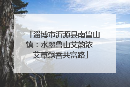 淄博市沂源县南鲁山镇：水墨鲁山艾韵浓 艾草飘香共富路