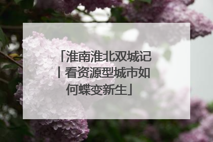 淮南淮北双城记丨看资源型城市如何蝶变新生